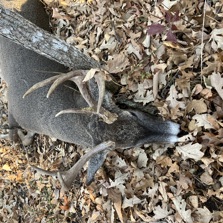 2022 Deer Hunting